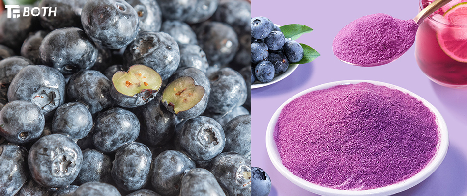 Uru nke Mmepụta ntụ ntụ oyi kpọnwụrụ akpọnwụ nke Blueberry nwere nkụnye friza