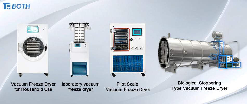 Freeze Dryer