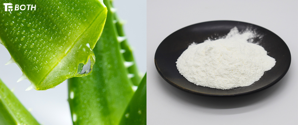 How to make freeze-dried aloe vera