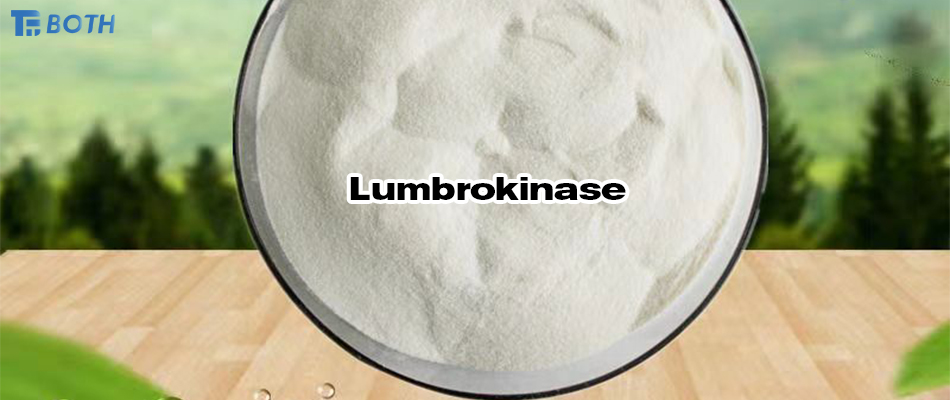 How to make lumbrokinase freeze-dried powder